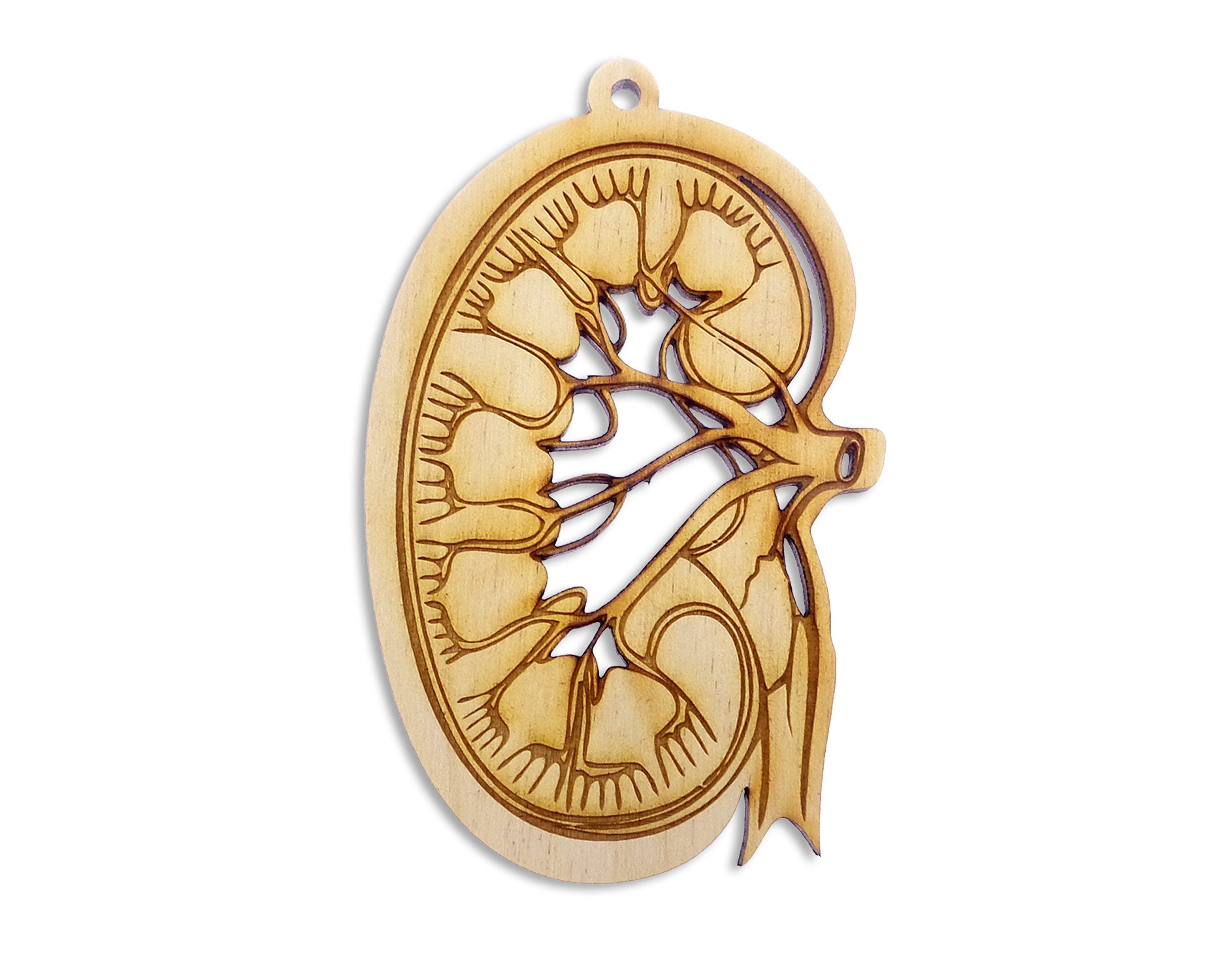 Personalized Kidney Ornament - Celebrate Kidney Donation - Kidney Chr…