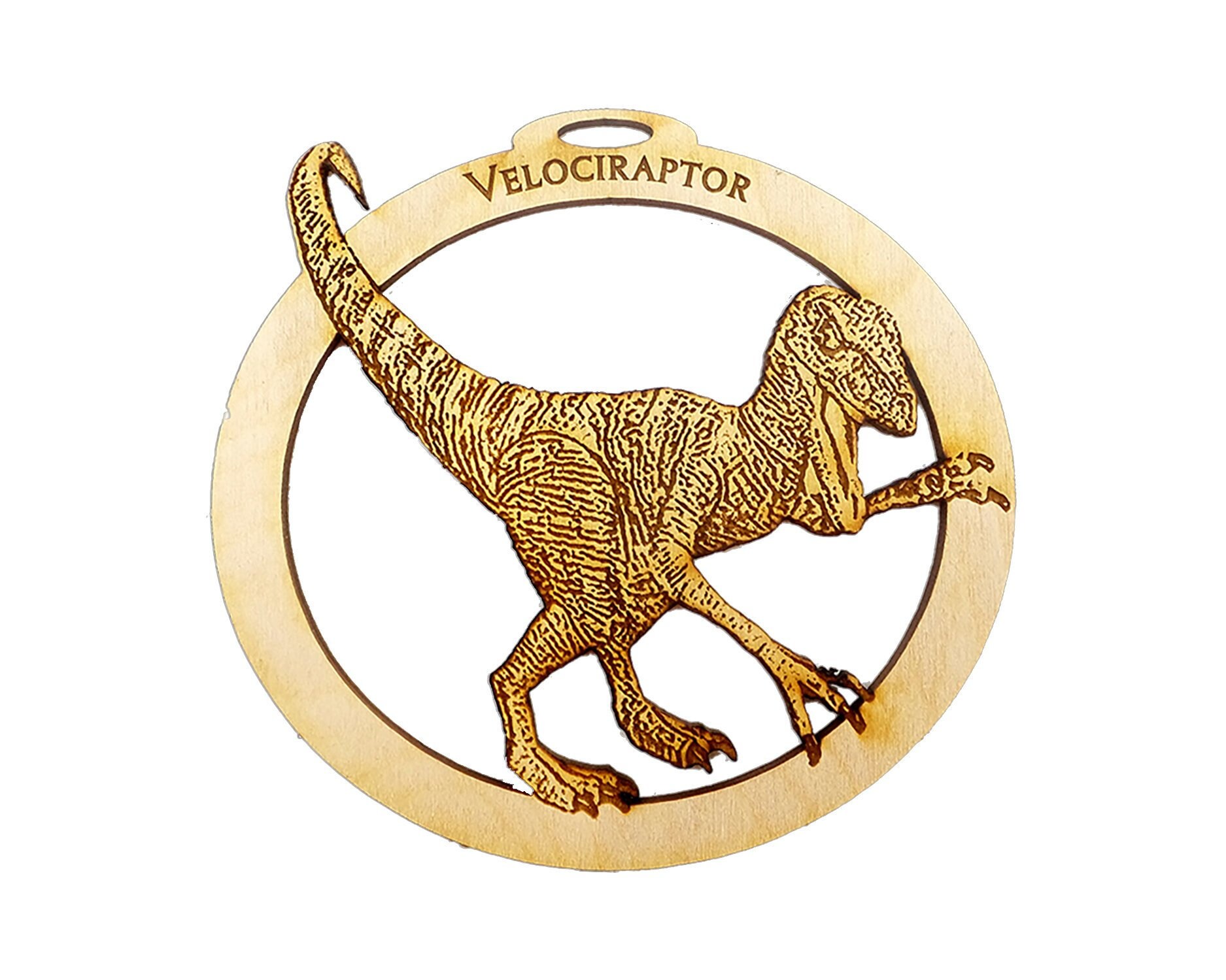 Personalized Velociraptor Ornament - Unique Dinosaur Ornament - Veloc…