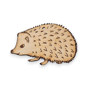 Personalized Hedgehog Ornament, Hedgehog Gifts, Hedgehog Christmas Ornaments, Hedgehog Gift Ideas, Hedgehog Decor