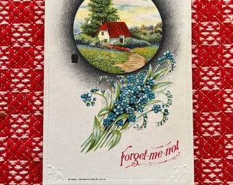 Pretty Antique Forget Me Knot Embossed Floral Landscape Scene Lithograph Divided Back Unused Blank c. 1909 By P.Riche S-400 Postcard