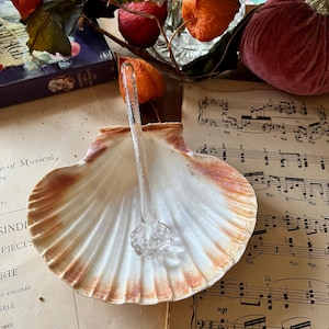 May include: A white seashell with a brown rim, used as a dish, with a clear glass decorative stem inside. The seashell is sitting on a sheet of music.