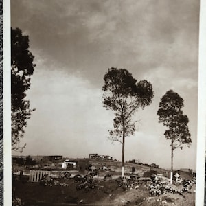 Antique Sépia Photo Art Carte postale Époque de la dépression Heinrich Lieberman 1932 D’une vallée se souvenant des morts et des hangars abandonnés o