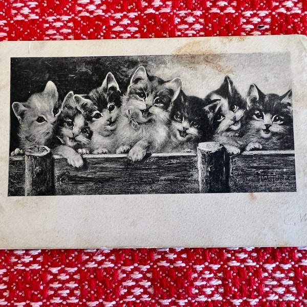 Brefkort Sweden Original Antique Postcard Edwardian Era Artist signed Black & White Kitschy Kittens Line on Fence