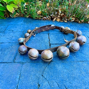 May include: A brown leather collar with several metal bells. The bells are a tarnished silver colour and have decorative patterns. The collar rests on a blue stone surface, with greenery in the background.