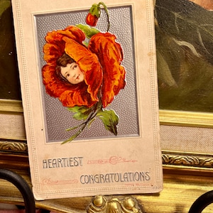 Linda e rara "Parabéns mais sinceros" Menina em relevo com flor de papoula vermelha dividida Cartão postal antigo 1903 P. Sander NY