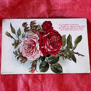 Antigo cartão postal com rosas vermelhas e rosa dos namorados de 1911 "Enquanto eu via um botão de rosa, beijado pelo orvalho da manhã..."