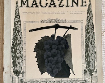 April 1914 The Garden Magazine Vol.XIX No.2 Country Life in America Double Day, A Monthly Magazine on Practical Gardening
