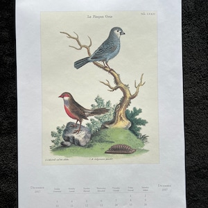 Exquisite Cavalinni & Co.Calendar Birds Lithograph Reproduction of 18th, 19th English/German Plates Suitable For Framing