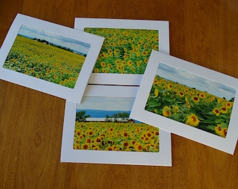 Fine Art Photo Note Cards Sunflower Set of 4