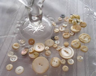 Vintage shell mother of pearl buttons 50