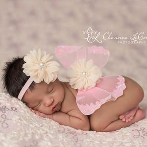 Pink and Ivory Butterfly Wing Set / Newborn Wings / Newborn Wing Prop / Baby Girl Headband / Newborn Photo Prop / Newborn Butterfly Wings
