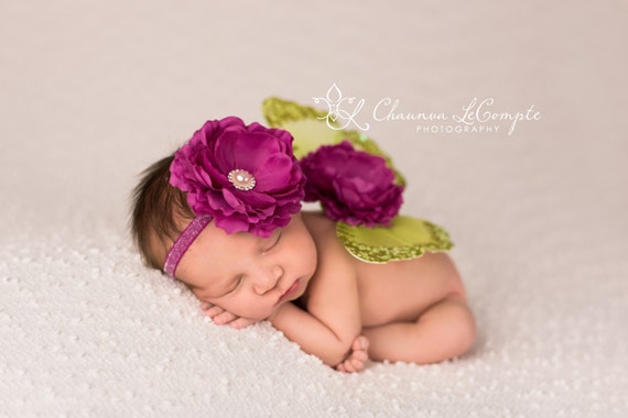 Mint and Raspberry Butterfly Wing Set, Newborn Wings, Newborn Wing Prop, Baby Wing Prop, Newborn Photo Prop, Newborn Butterfly Wings