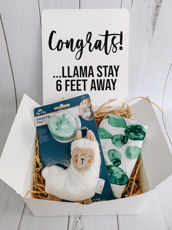 New Baby Gift Box / Funny Baby Gift / Baby Girl Gift / Baby Etsy