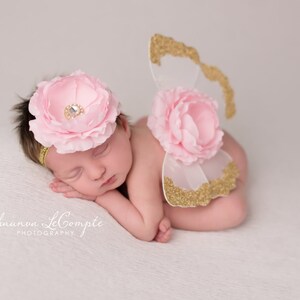 Gold, White and Pink Butterfly Wing Set, Newborn Wings, Newborn Wing Prop, Baby Wing Prop, Newborn Photo Prop, Newborn Butterfly Wings