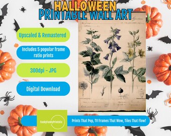 Floral Wall Art Print: Vintage Botanical Illustration - Digital Download