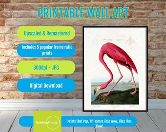 Flamingo Art Print - Watercolor Flamingo Wall Decor - Tropical Bird Anatomy Poster, Coastal Nature Illustration, Wildlife Gift