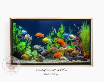 FRAME Tv Art Colorful Fish, Aquatic Life, Terrarium Background, Digital Download, Aquarium Fish, Fish Photography, TV Screensaver, 4K