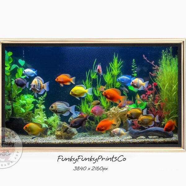 FRAME Tv Art Pesci colorati, Vita acquatica, Sfondo terrario, Download digitale, Pesci d'acquario, Fotografia di pesci, Salvaschermo TV, 4K