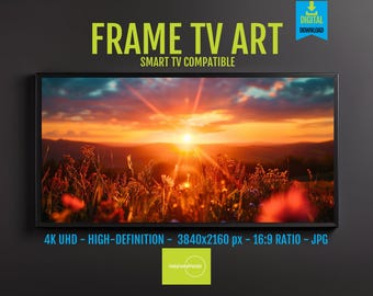 Eclectic Frame TV Art