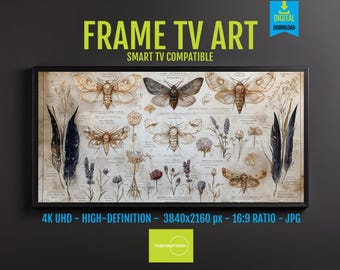 Vintage Moth Wall Art - Botanical Insect Study for Frame TV