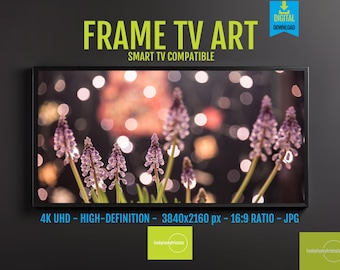 Hyacinth Spring Flowers Art: 4K Digital Download for Frame TV