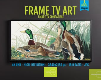 Audubon Bird Art for FRAME TV – 4K HD Duck Decor, Wildlife Digital, Vintage Nature Lover Gift, High Resolution Living Room Art, 8093