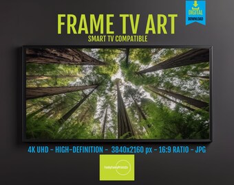 Samsung Frame TV Art Redwood Forest 4K HD | Giant Redwood Trees Digital Download, Forest Landscape Screensaver, Cozy Cottage Decor