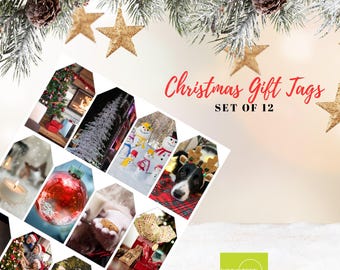 Festive Christmas Tag Bundle - Editable DIY Gift Tags for Teachers, PRINTABLE Holiday Labels, Set of 12, Digital Download