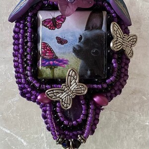 Chi Chi Chihuahua