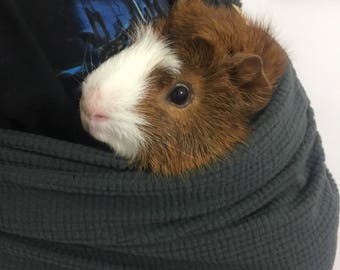 guinea pig travel case