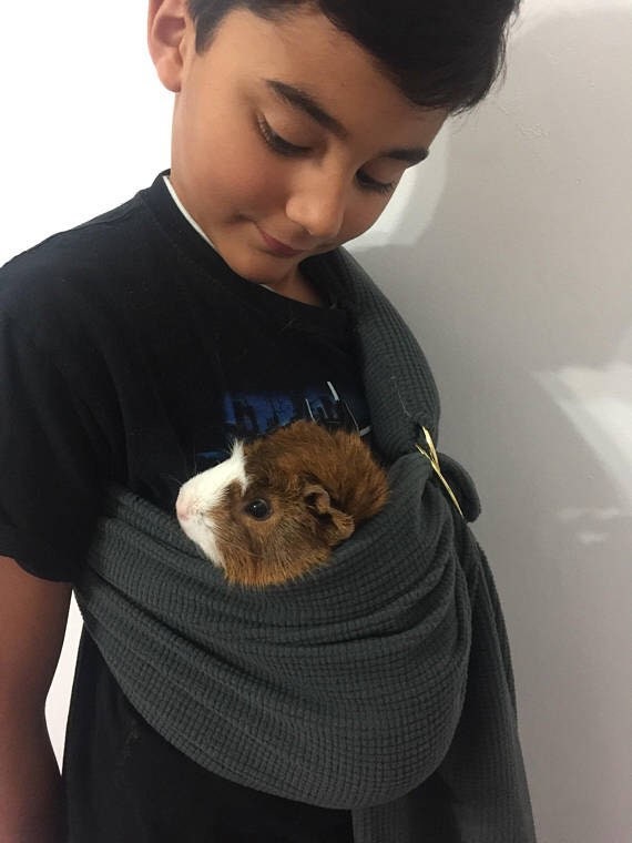 guinea pig carry case