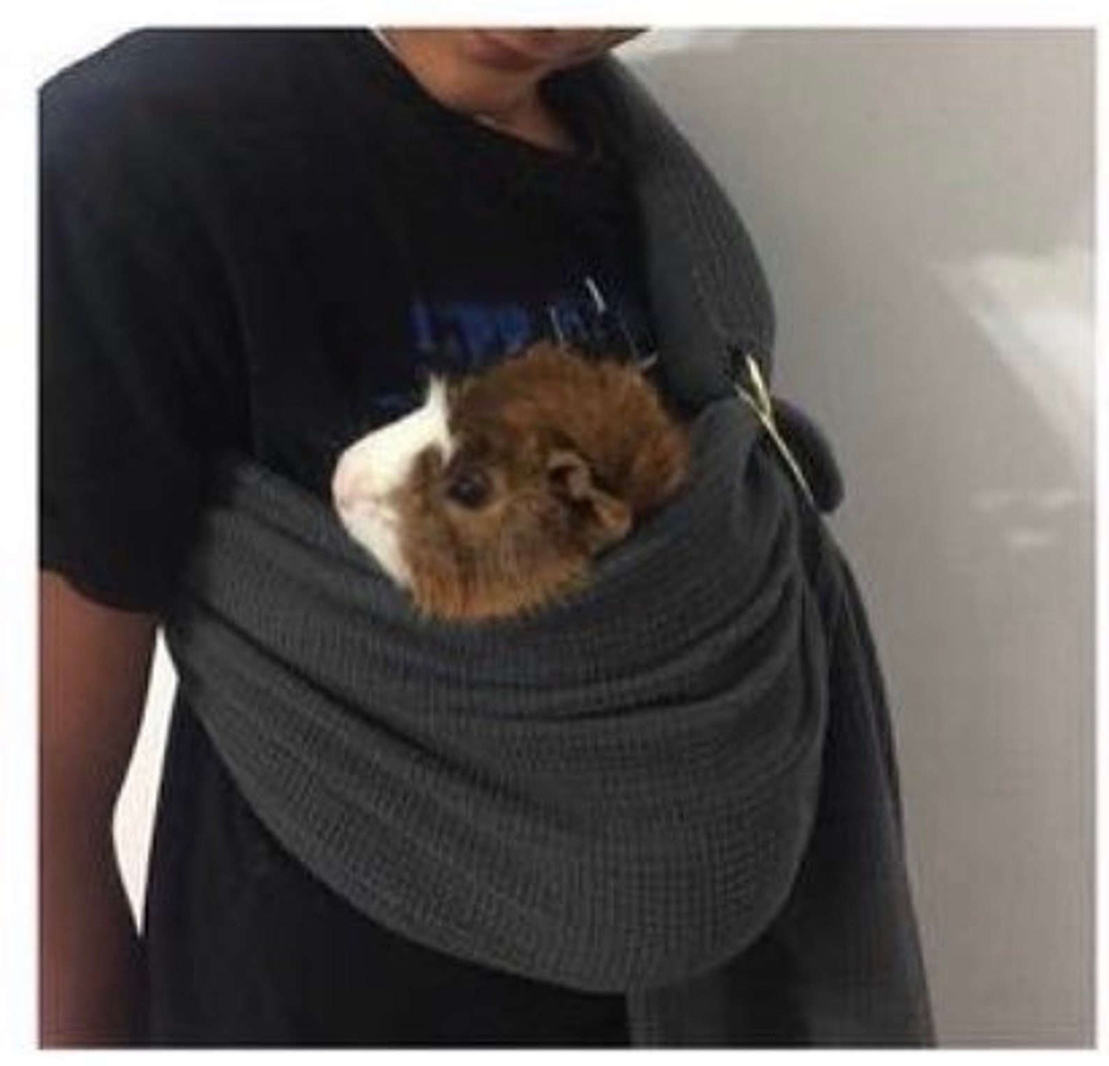 Adjustable Guinea Pig Sling Pet Carrier Guinea Pig Sling Etsy