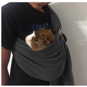 Guinea pig sling diy discount