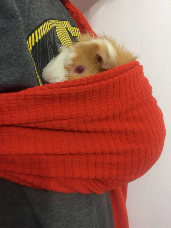 guinea pig carrier sling