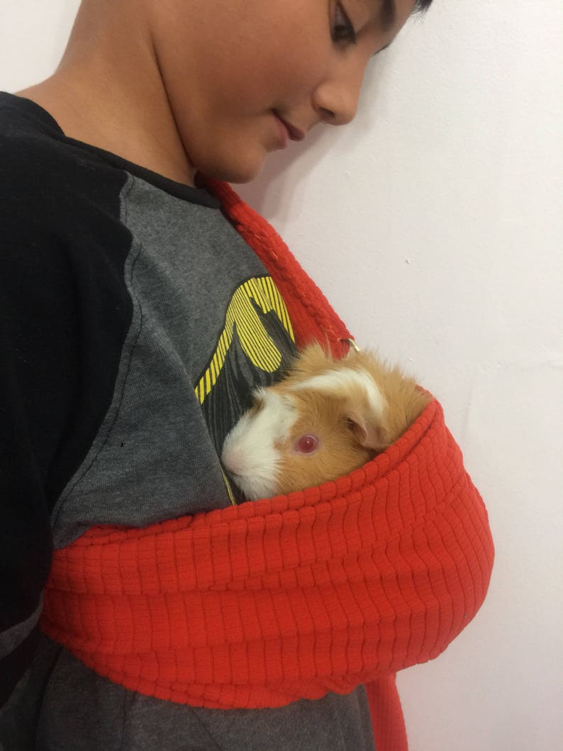 Orange Adjustable Guinea Pig Sling Small Pet Carrier Bonding Etsy