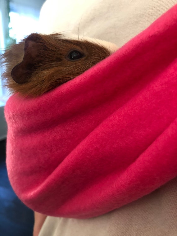 guinea pig carrier sling