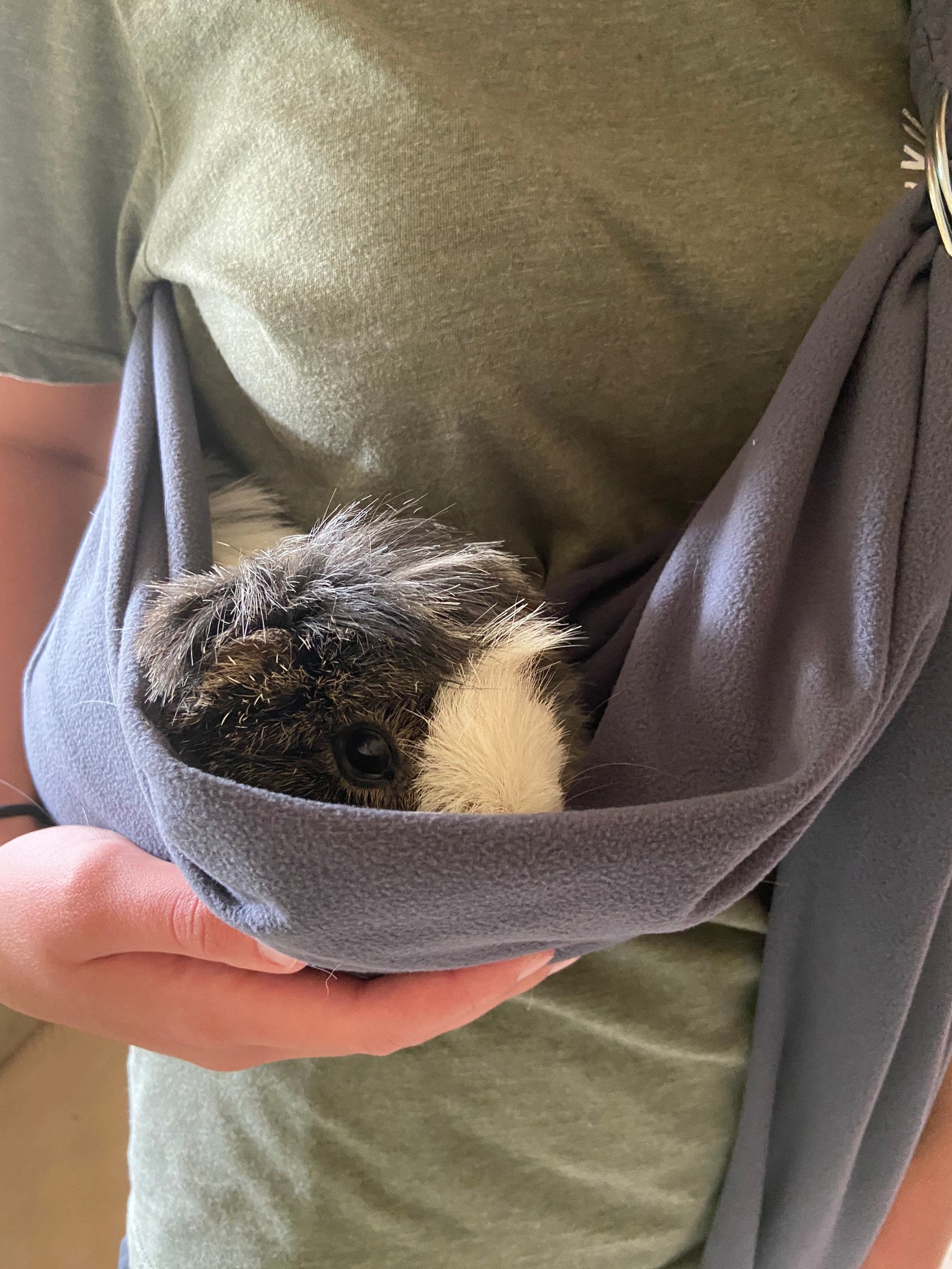 Adjustable Guinea Pig Sling Pet Carrier Guinea Pig Sling Etsy