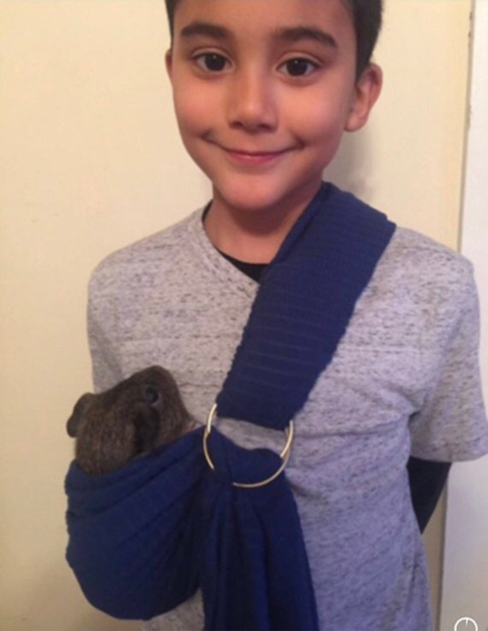 Adjustable Guinea Pig Sling Handmade Small Pet Carrier Bonding Etsy