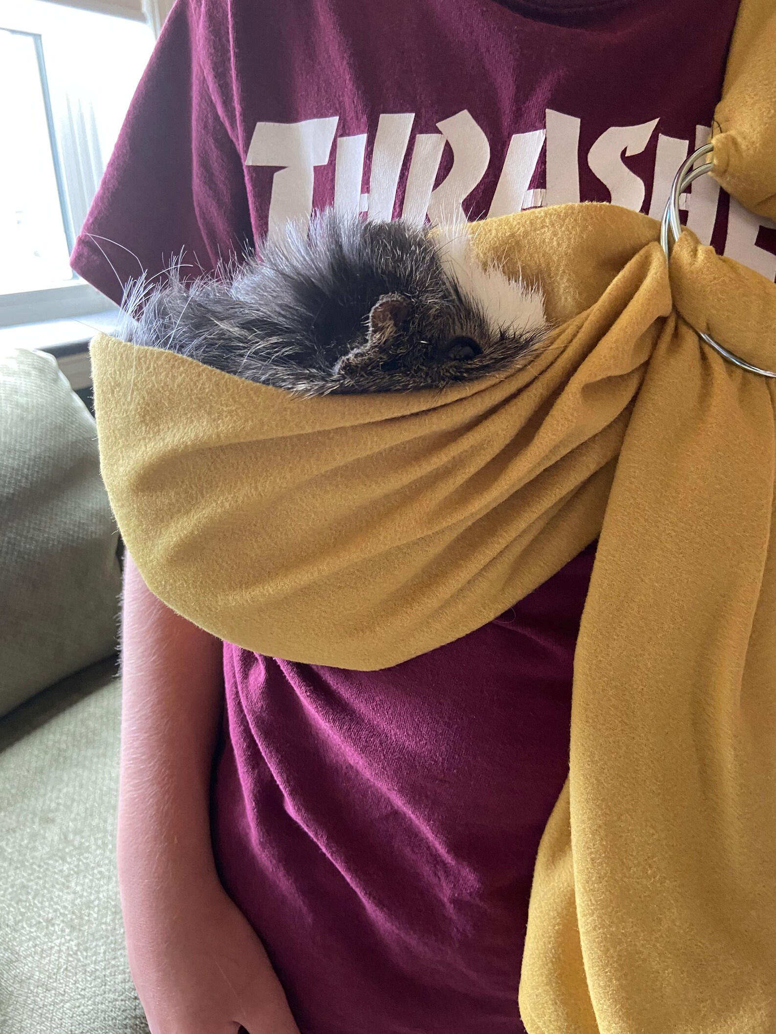 Adjustable Guinea Pig Sling Handmade Small Pet Carrier Bonding Etsy