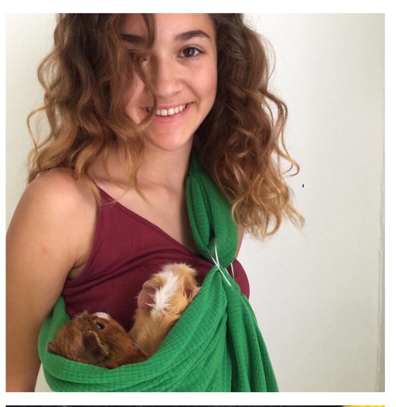 guinea pig carrier sling