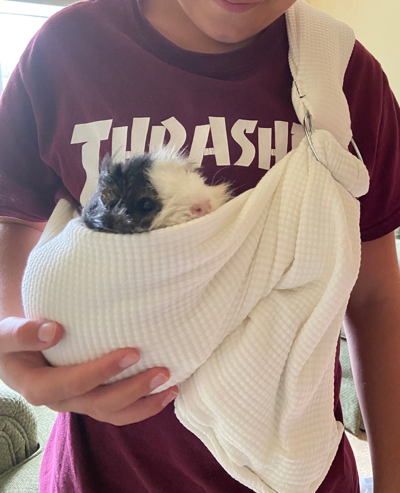 Adjustable Guinea Pig Sling handmade small Pet Carrier bonding Etsy