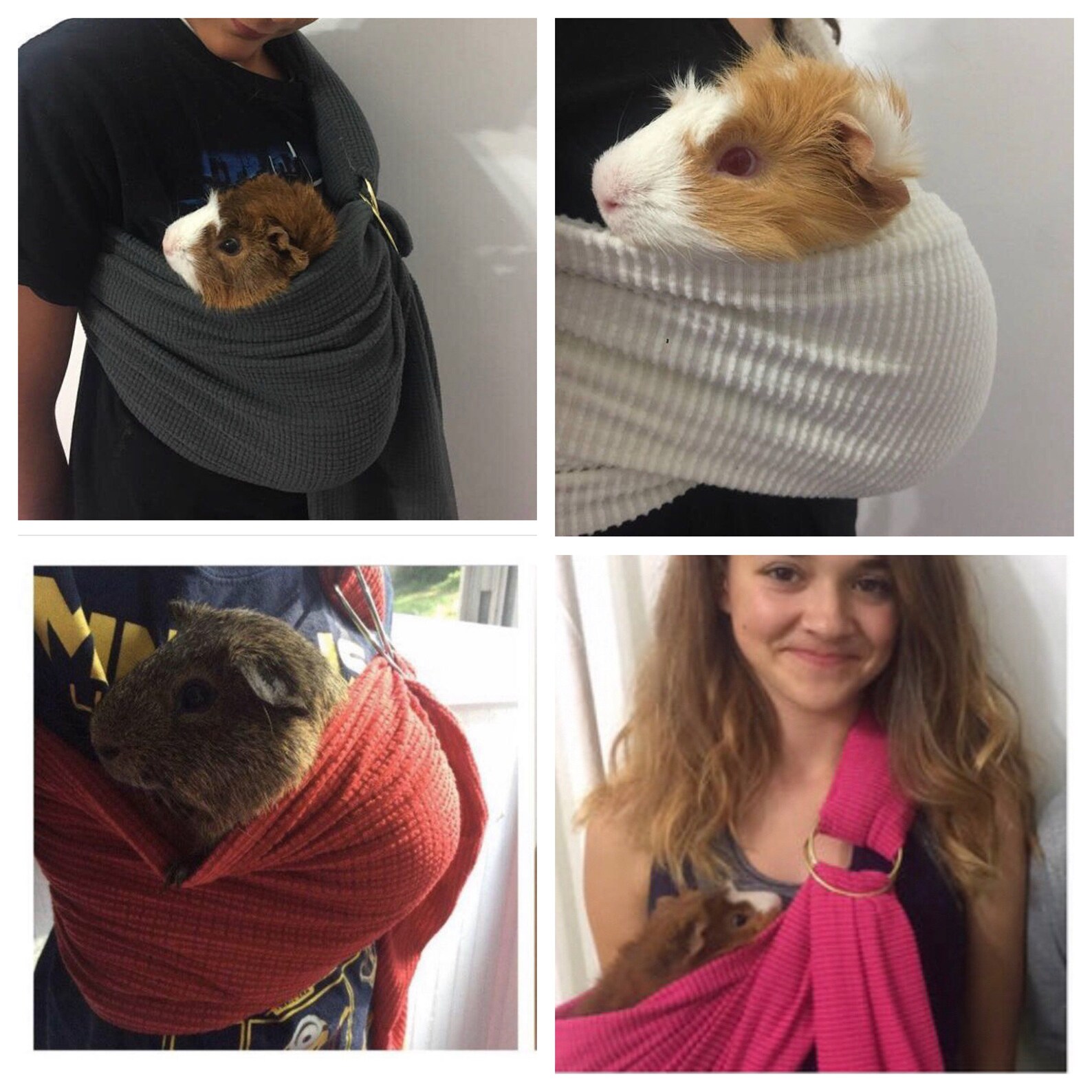 Adjustable Guinea Pig Sling handmade small Pet Carrier bonding Etsy