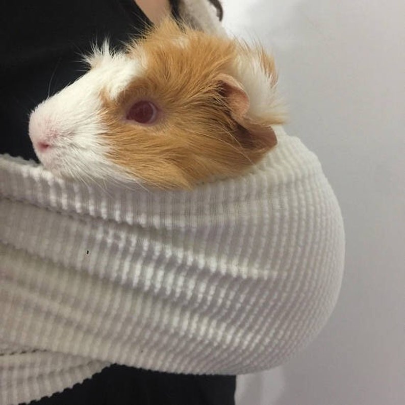 Adjustable Guinea Pig Sling handmade small Pet Carrier bonding Etsy
