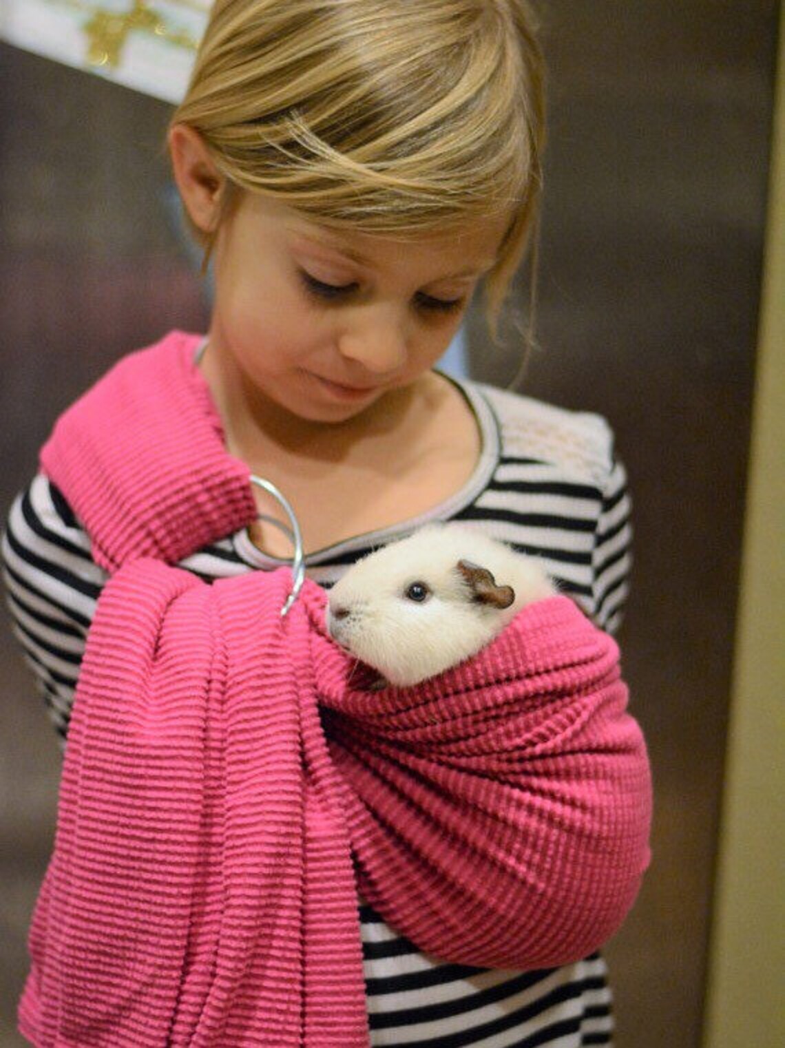Adjustable Guinea Pig Sling handmade small Pet Carrier bonding Etsy