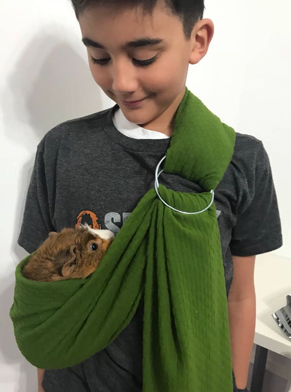 guinea pig sling carrier