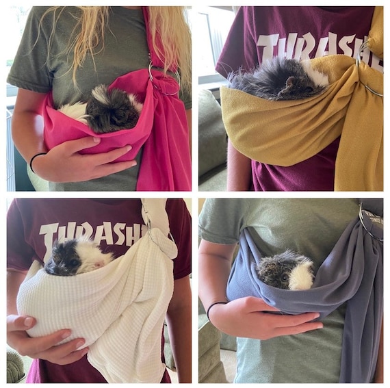 Guinea Pig and Rabbit Carrier