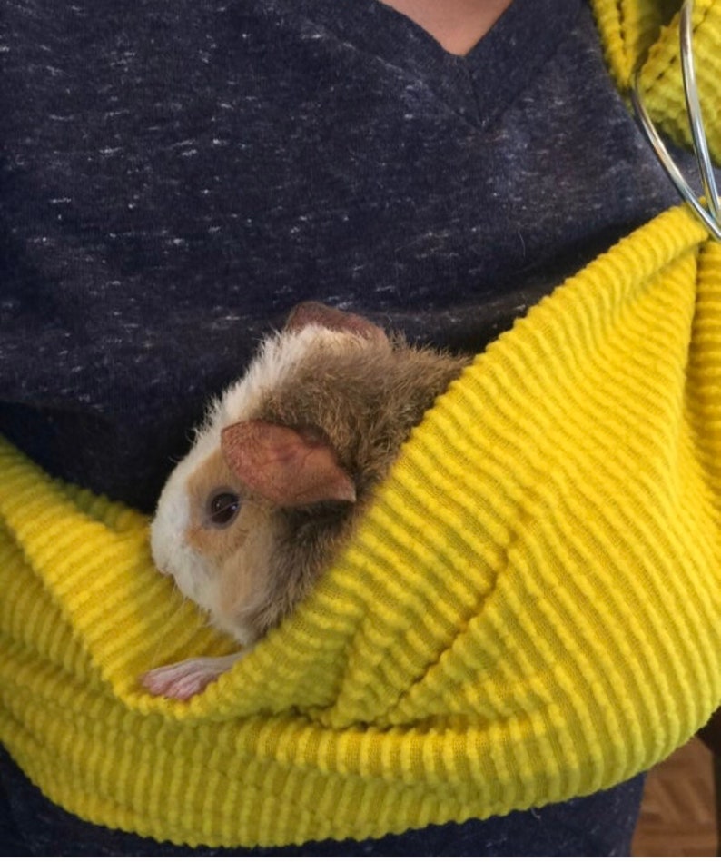 Adjustable Guinea Pig Sling handmade small Pet Carrier bonding Etsy