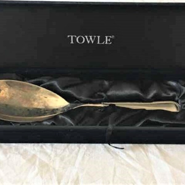 BX21 -- Towle Storage Box w/ 10" Silver Plated SERVING SPOON Vintage Spoon Salad Gravy Spoon Condiment Flatware Silverware Gumbo Spoon