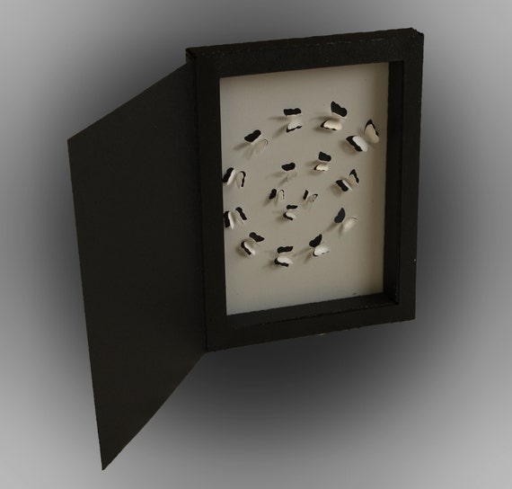 Free Free Butterfly Shadow Box Svg 615 SVG PNG EPS DXF File