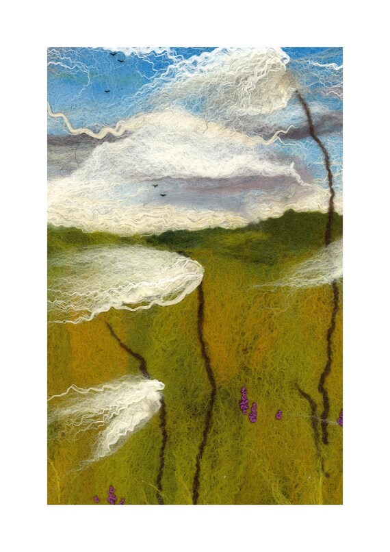 Cotton Grass on High